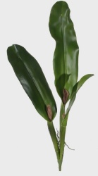 Лист каттлеи зеленый h63cm